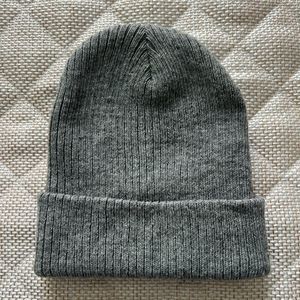 NWOT Wild Fable Beanie Hat in Gray